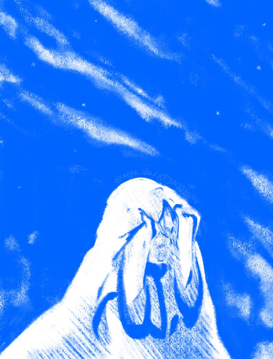 ✳️NERAIDA tweet media