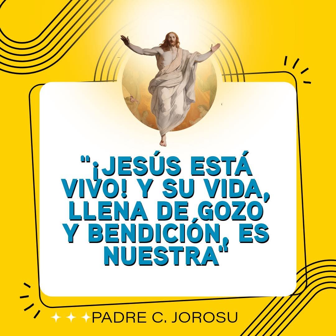 DIVINA VOLUNTAD tweet media