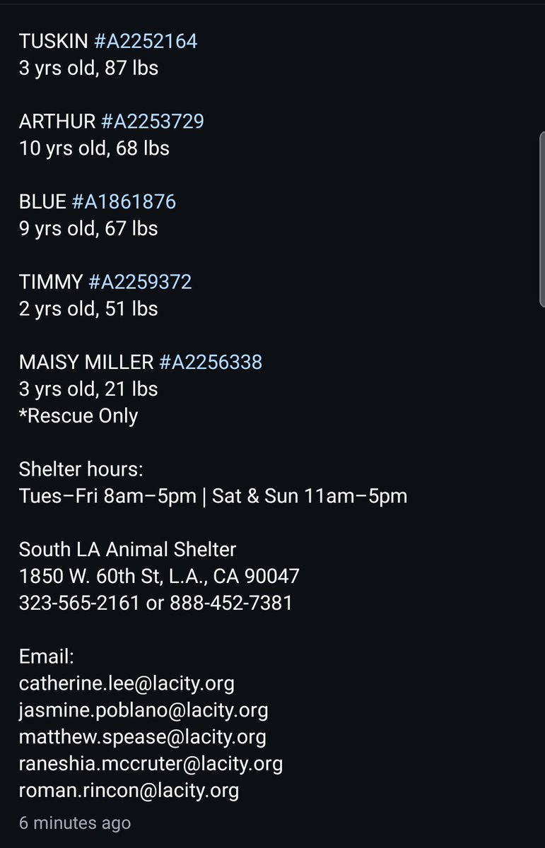 8415_n's tweet image. 5️⃣ of our #bestfriends need immediate #HELP in #SouthLA tomorrow MON 4️⃣/6️⃣‼

1️⃣3️⃣ #dogs were #euthlisted in total until WED 4️⃣/8️⃣‼

Please consider
#ADOPT anywhere 🇺🇲‼
#FOSTER @ NO cost‼

#SHARE across #socialmedia
Tag #friends &amp;amp; #Rescues
#PLEDGE
⬇️
instagram.com/reel/DWxGlKHge…