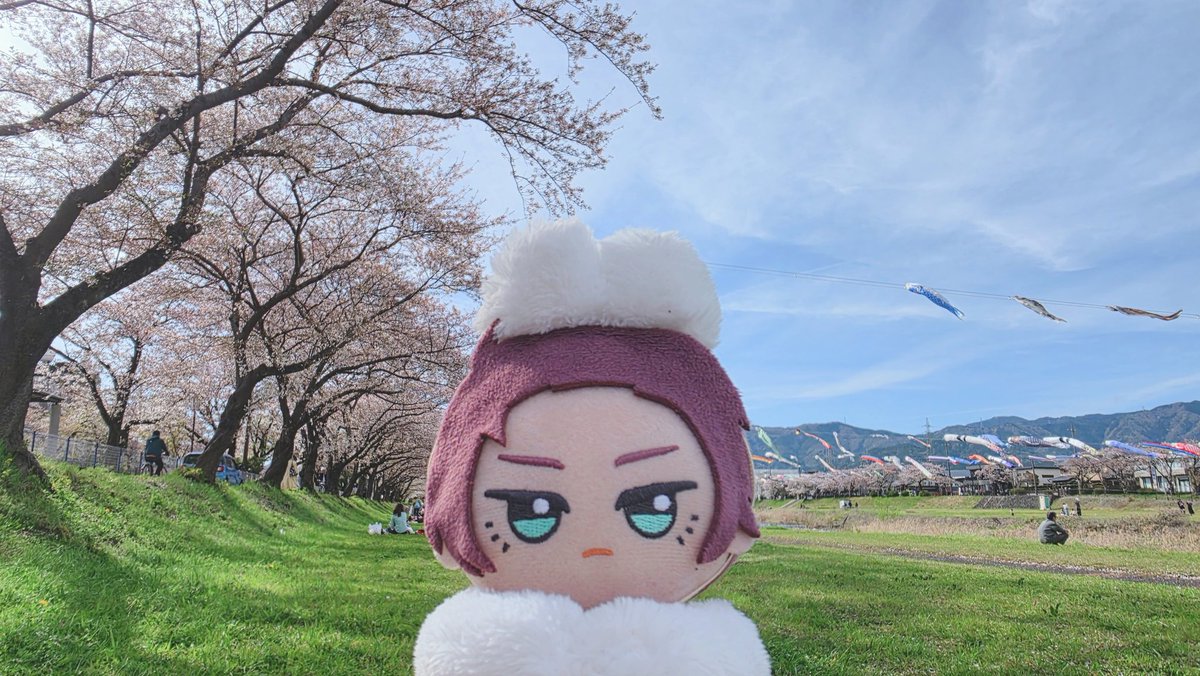 neneneeeo's tweet photo. https://t.co/93T6EZzFin