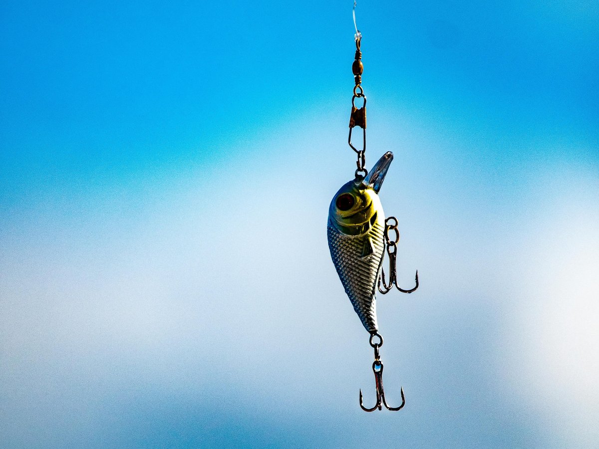 Indonesian Pop Base tweet media