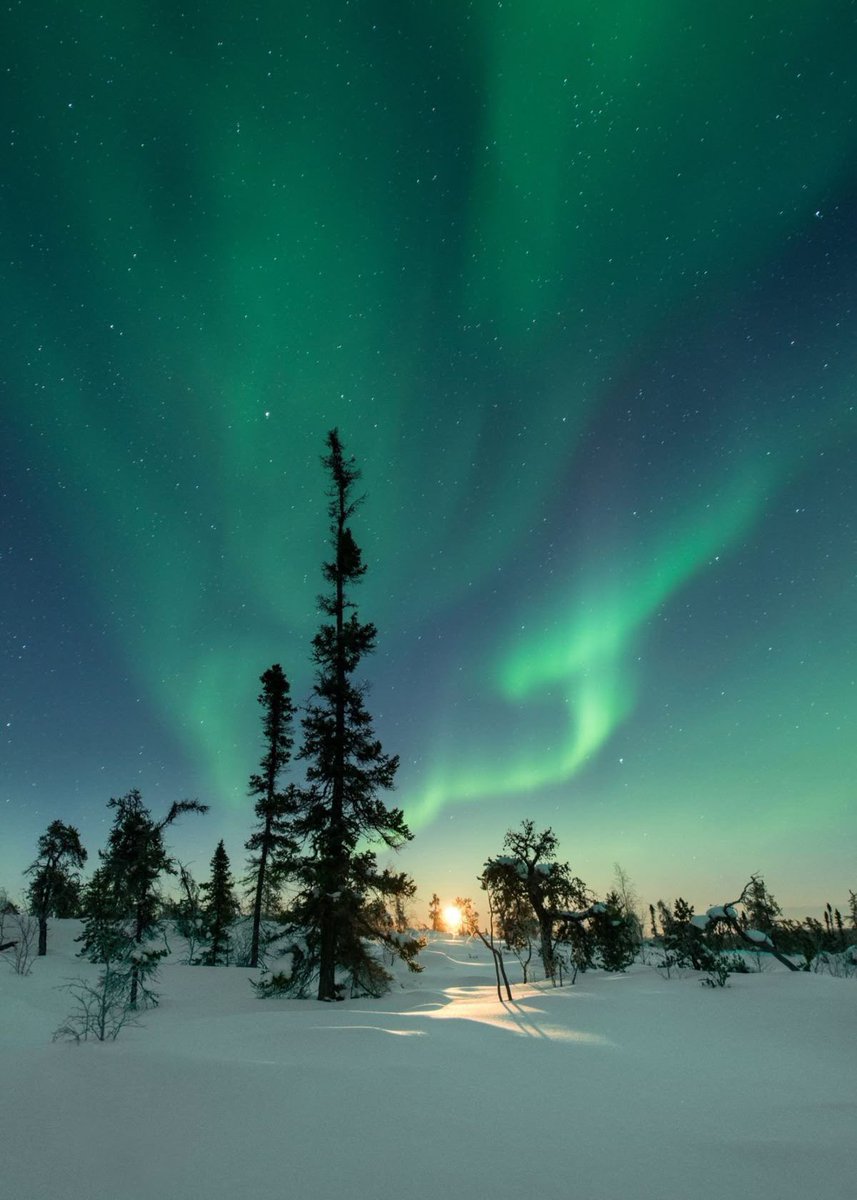 トラベルちゃん✈️ tweet media