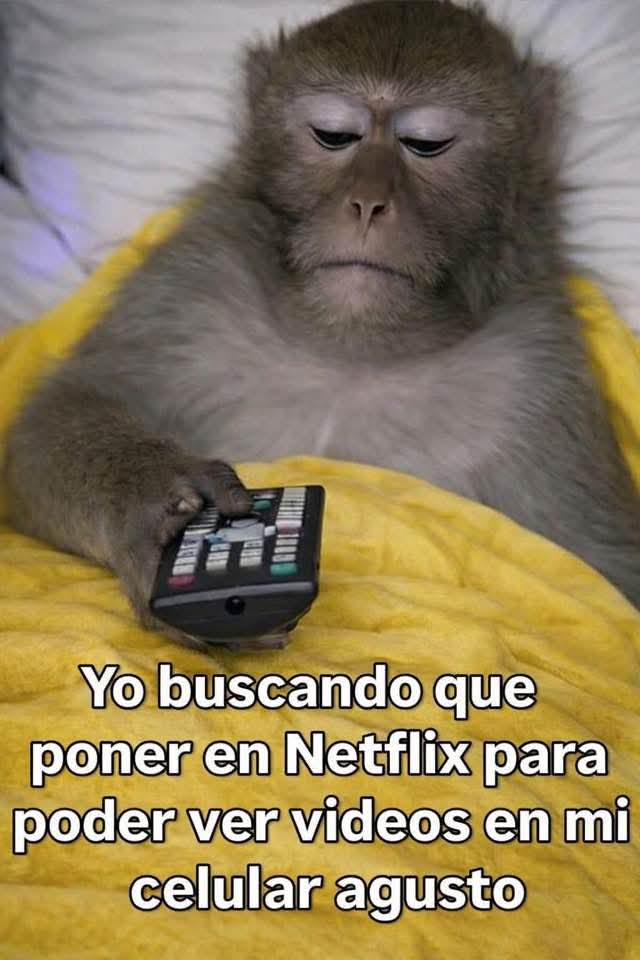 nxstypxet's tweet photo. https://t.co/PGE6pUPnTC