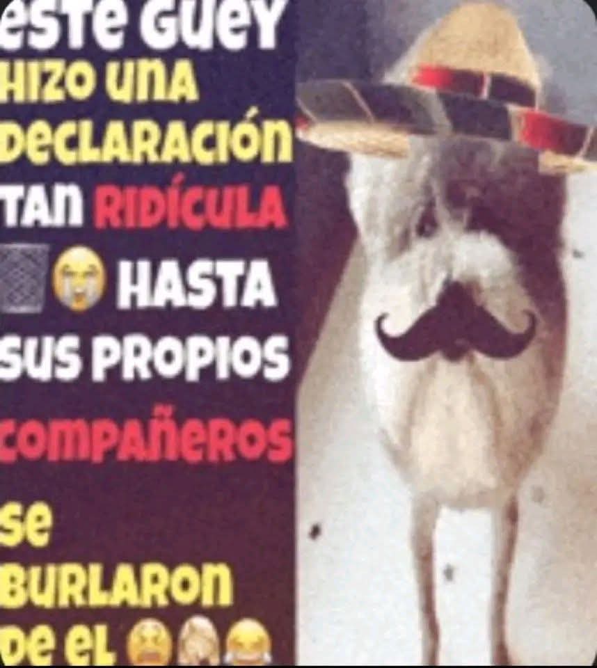 AriPuNk 🌻🐱 tweet media