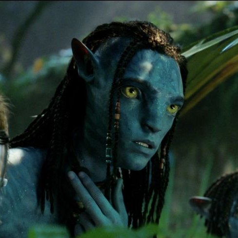 ni 🇧🇷 🇵🇸 .｡.:* off for studies tweet media