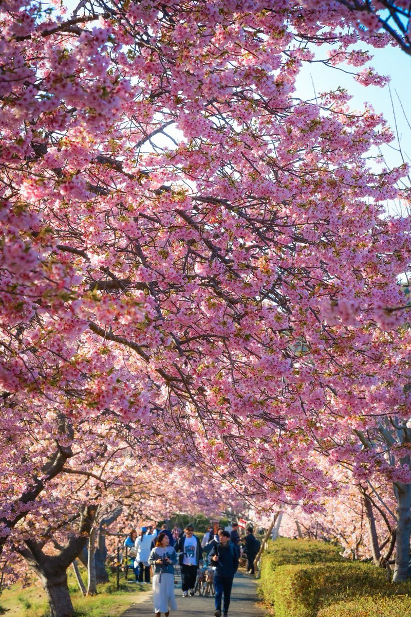 AC FITNESS 南浦和店【公式】 tweet media