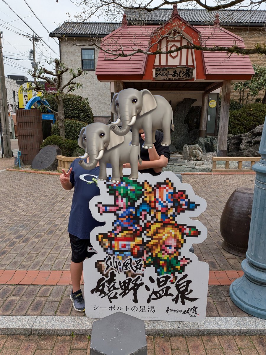 ぞう tweet media