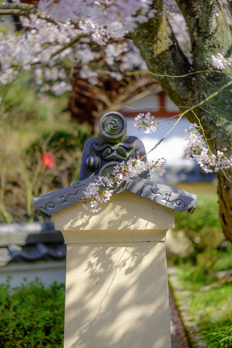 西国第七番 岡寺 tweet media