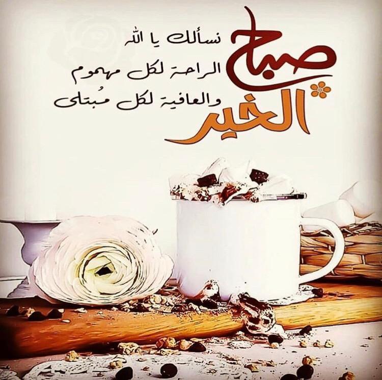 zalsadi2015's tweet photo. 🕊ء✨'
    
    *جمَيل أن نعيَش سُعداء ، ّو الأجمَل”*
 *أن نَتمِنىٰ السَِعادة لِمَن نحبَِ ..*

            🌟 صباحكم سعادة وراحة بال 🌟 https://t.co/G28u9yhJiU