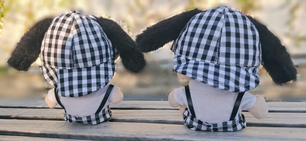 S U P E R め ご た ん 🍙 tweet media