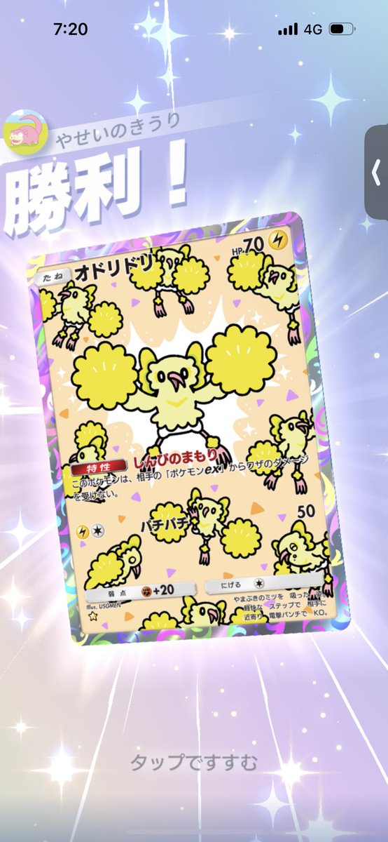 キウリ(´・ω・`)🦦🦚 tweet media