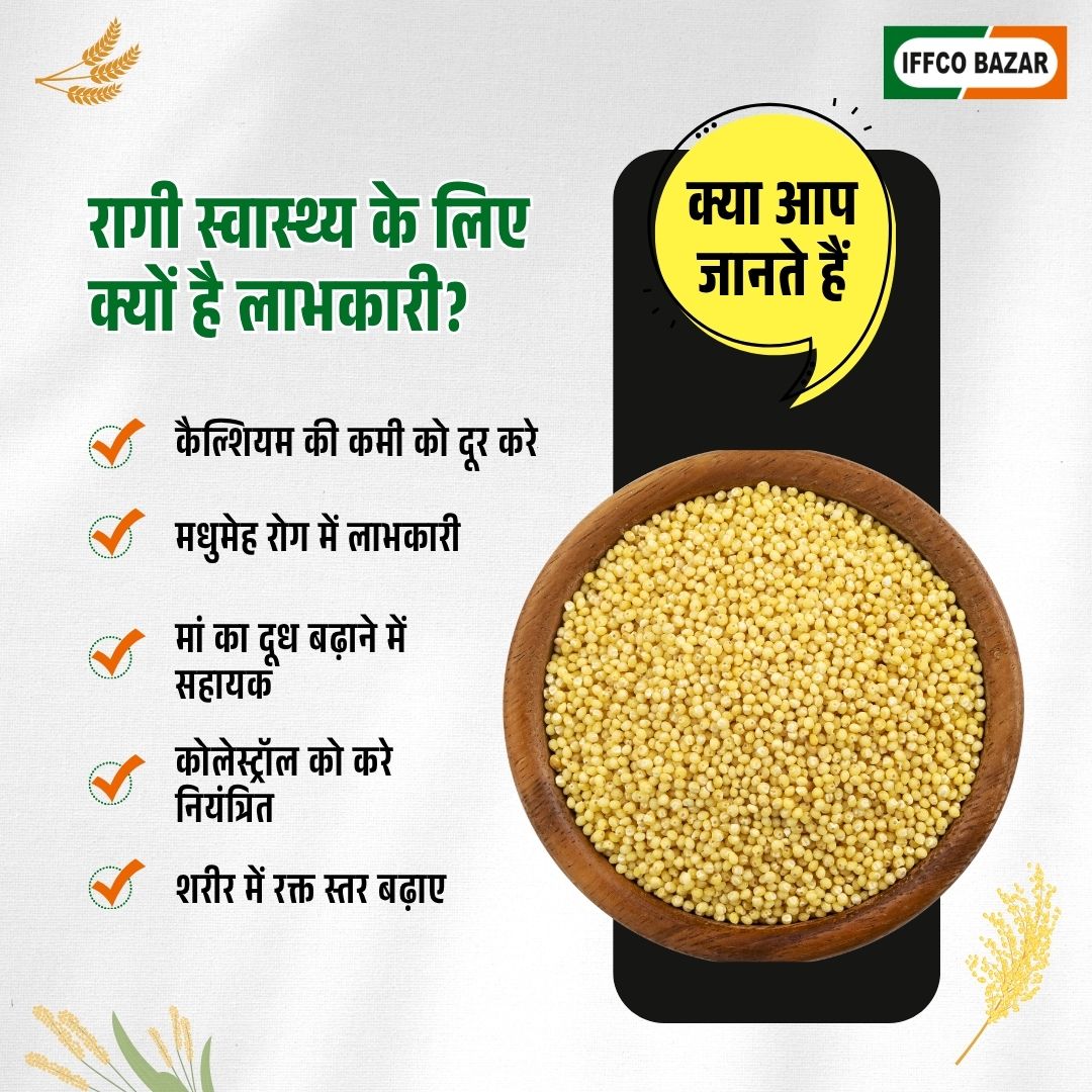 क्या आप जानते हैं रागी सबसे पुराने अनाजों में से एक है? रागी भारत में लगभग 4000 वर्ष पूर्व लाया गया था। स्वादिष्ट होने के साथ ही यह पौष्टिकता से भी भरपूर है। रागी की फसल की विशेषता है कि इसे पूरे साल में कभी भी खेतों में लगाया जा सकता है क्योंकि इसकी खेती का कोई निश्चित समय नहीं