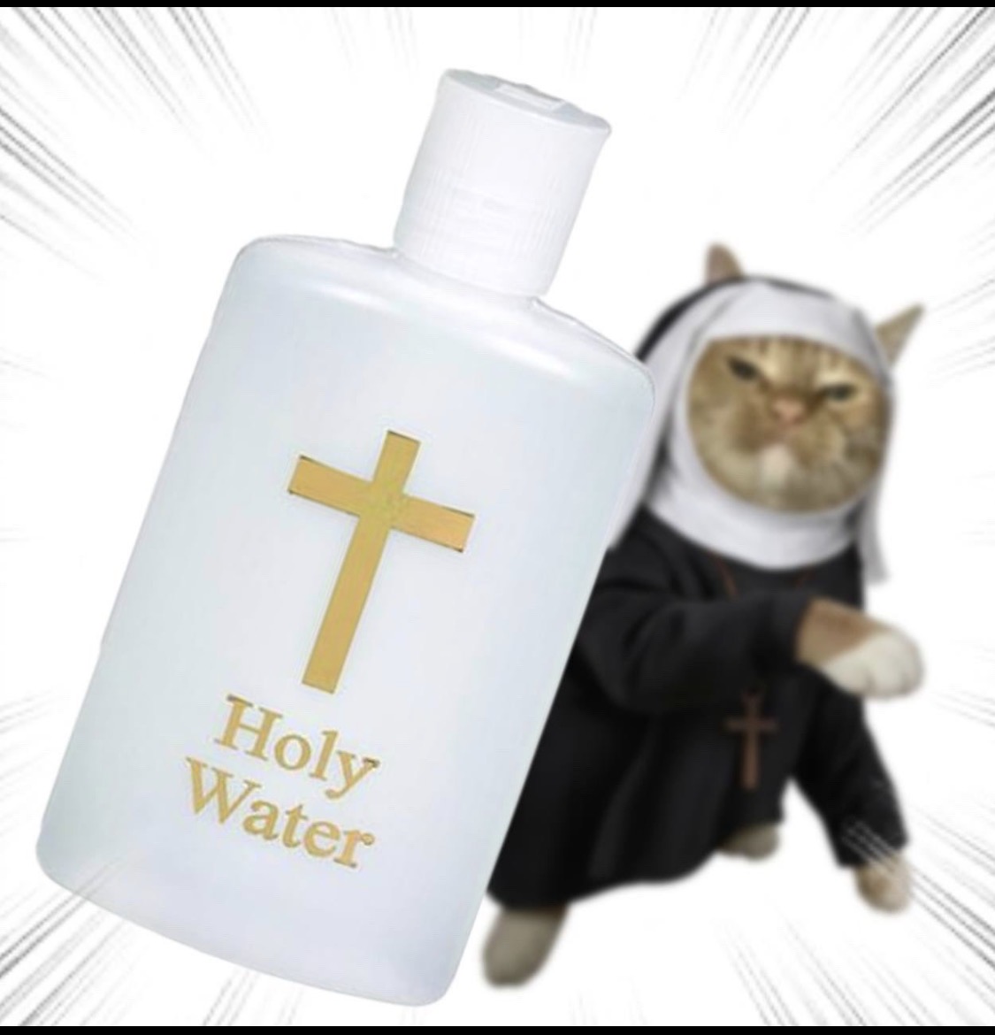 That Catholic Guy 🇻🇦 tweet media