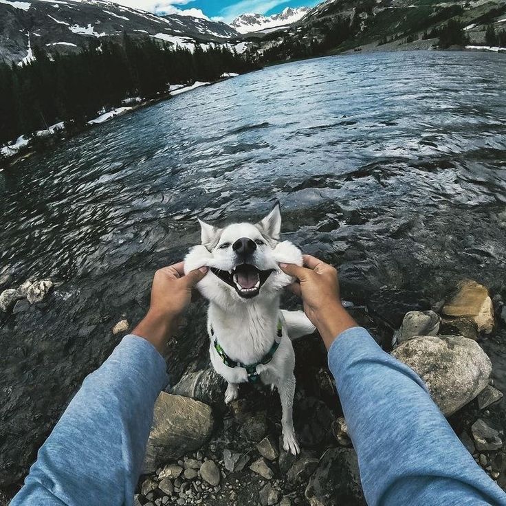 Ⓚⓗⓐⓢⓤ tweet media