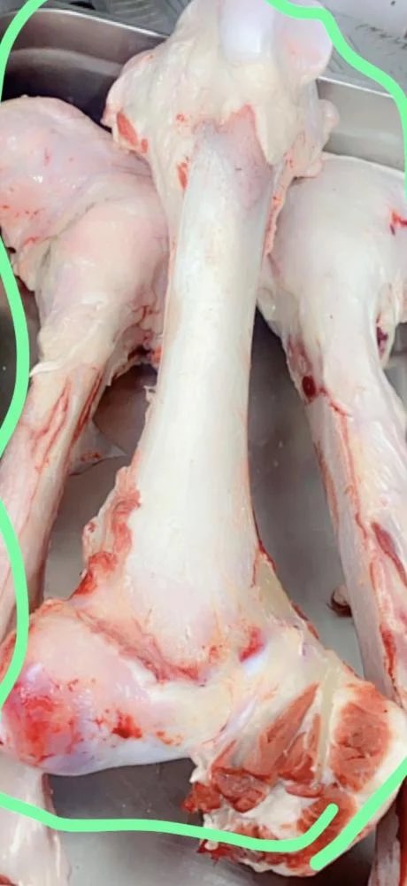 🇰🇼EN.ALQURASHI tweet media