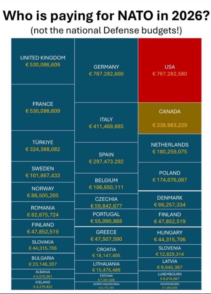 Joss🇪🇺 tweet media