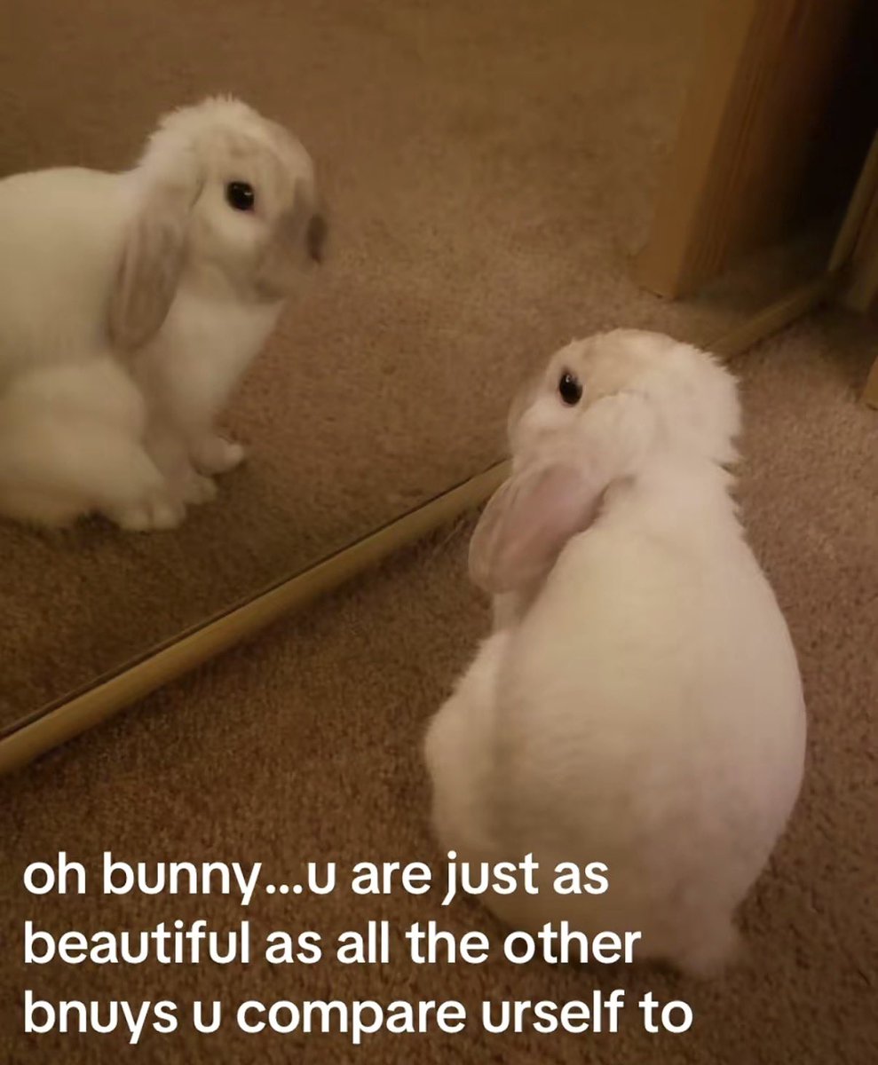 ~ヾ(＾∇＾) soso tweet media