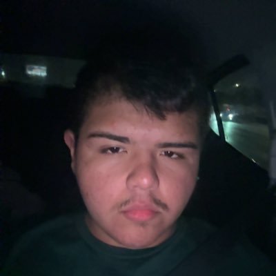 BulliedGirlAnimal tweet media