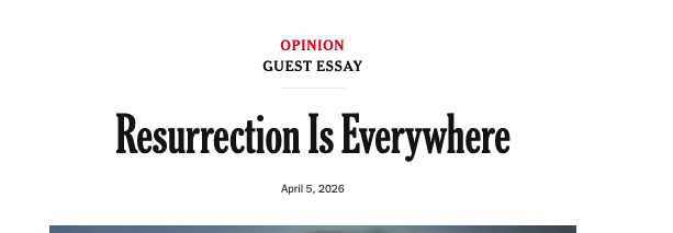 Matt Stoller tweet media