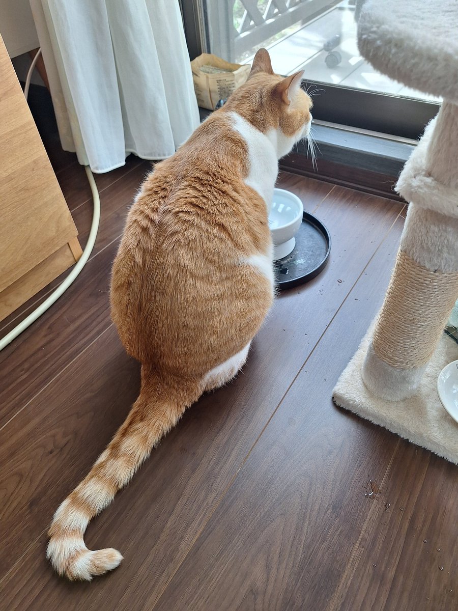 お水飲んだ大天才