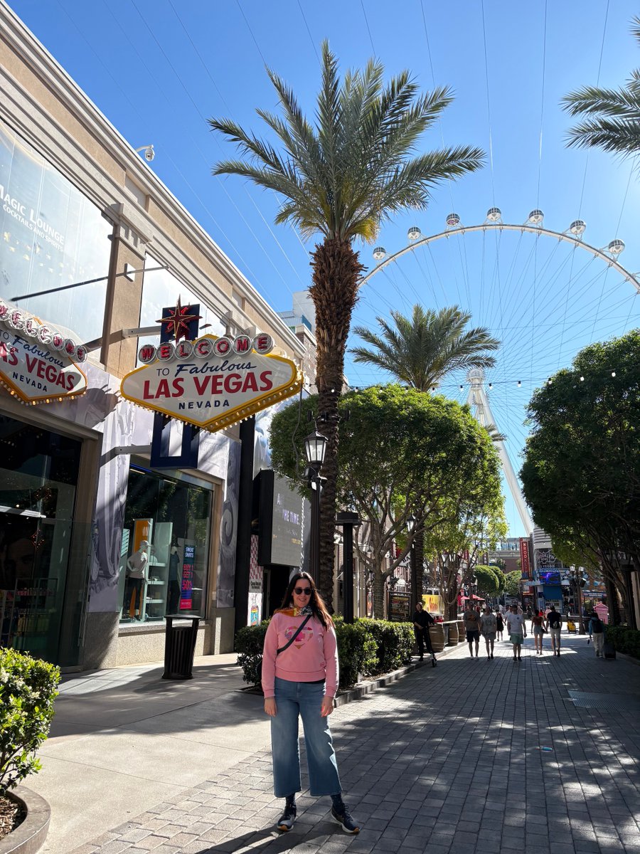 CeciliaAzorin's tweet photo. Welcome to fabulous Las Vegas. What happens in Vegas stays in Vegas 🎡🗽🇱🇷 https://t.co/Os119zDuMH