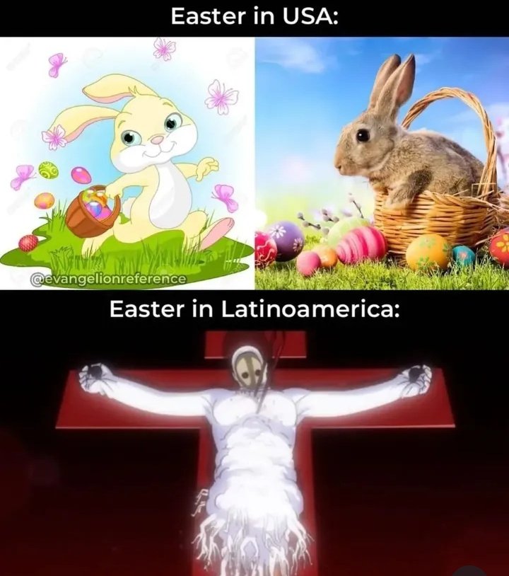 Desejamos uma feliz páscoa a todos vocês!! ♥️🐰