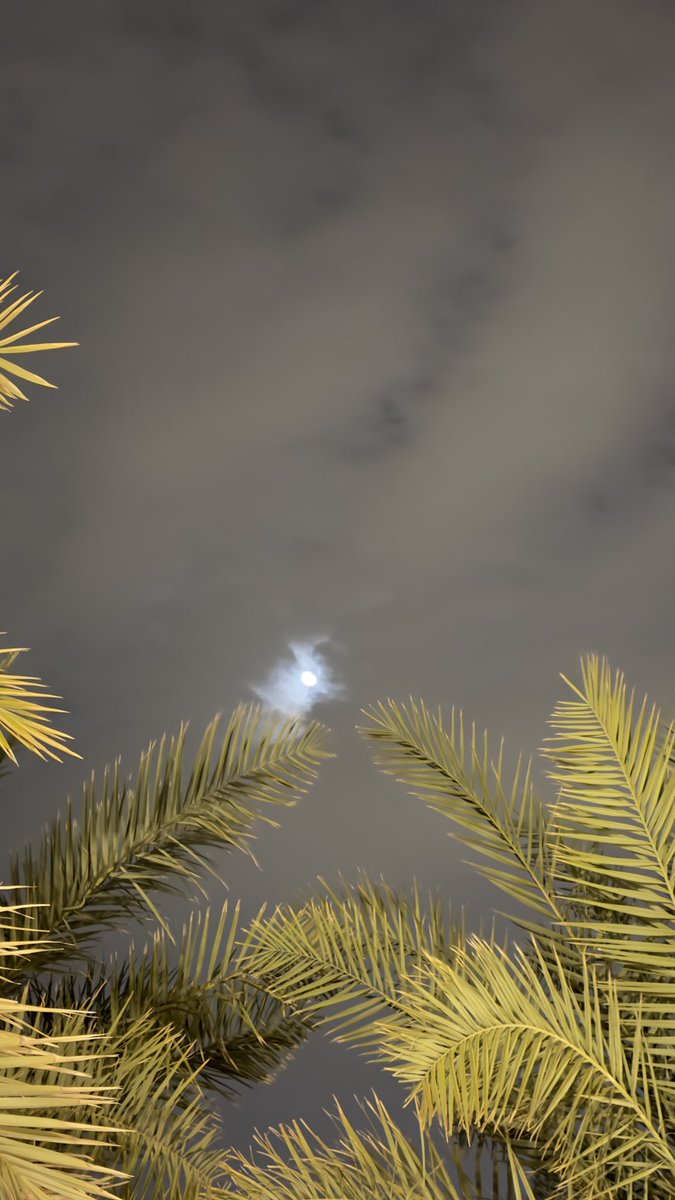 دوسَر. tweet media