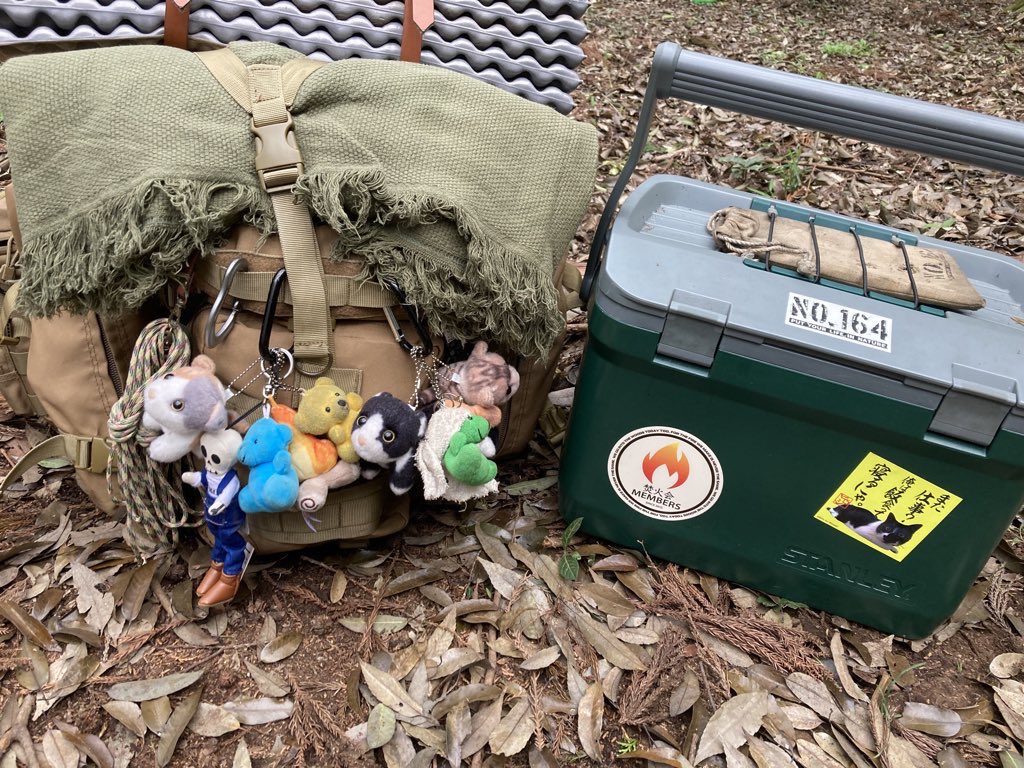 黄身🎵しろみ🐹焚き火欠乏症o( T⌓T)o🔥🔥 tweet media