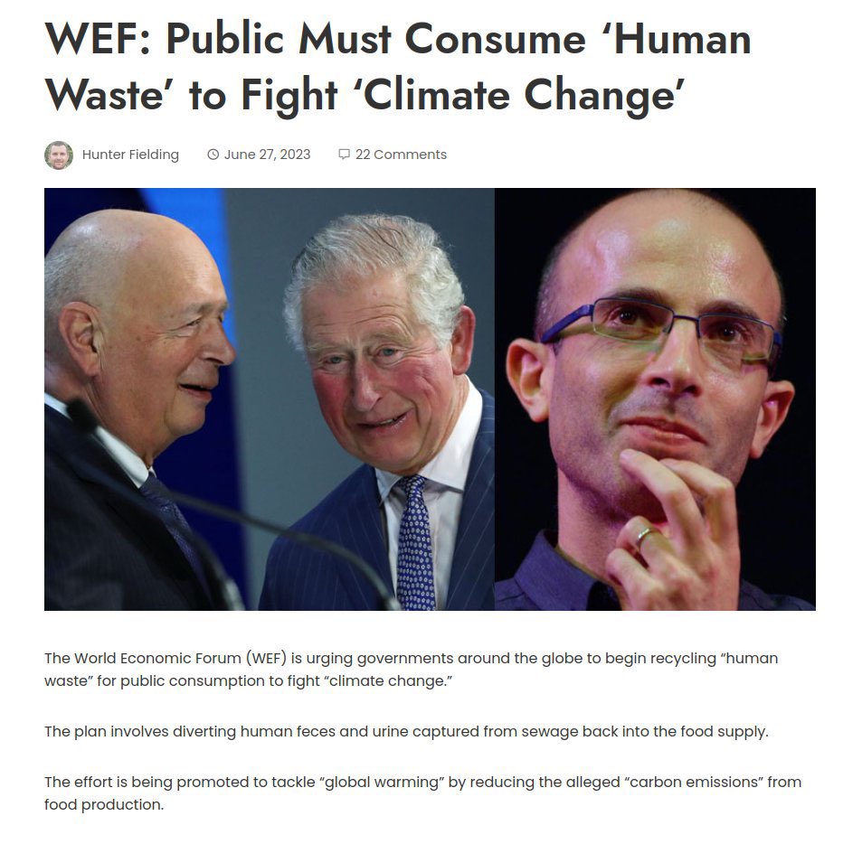 Tina Romano Freda tweet media