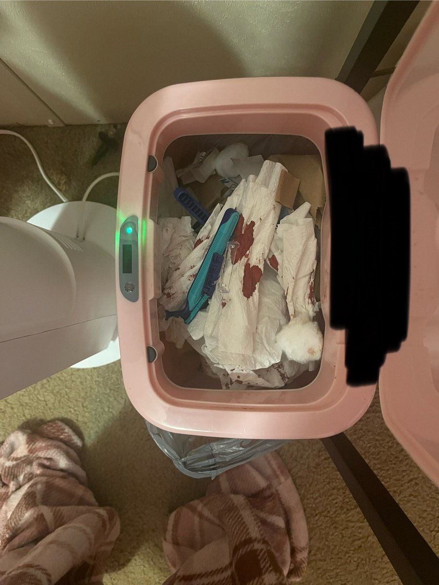 𝜗𝜚⋆₊˚ 𝚜𝚎𝚕𝚒𝚎 tweet media