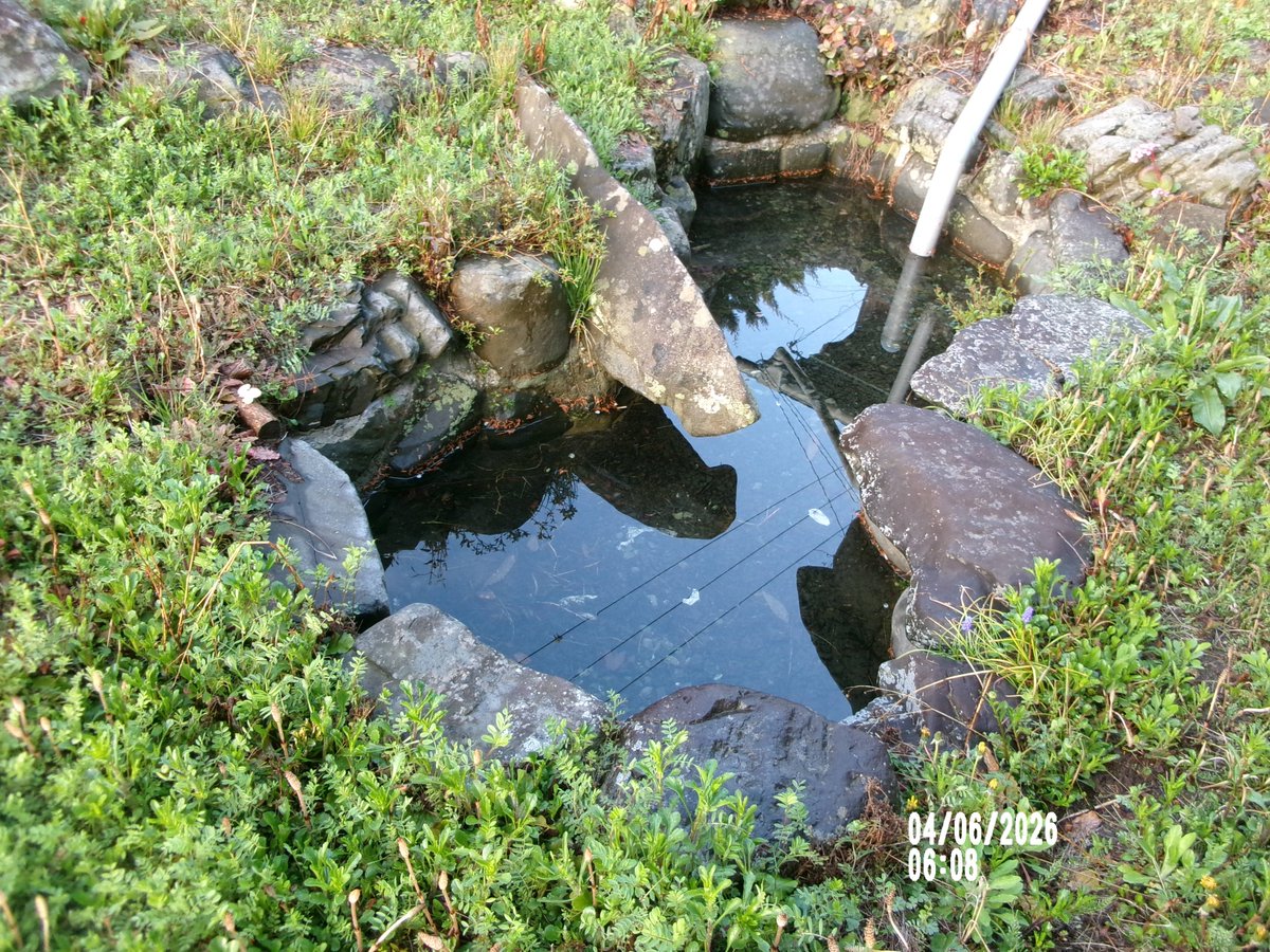 のりちゃん2 tweet media