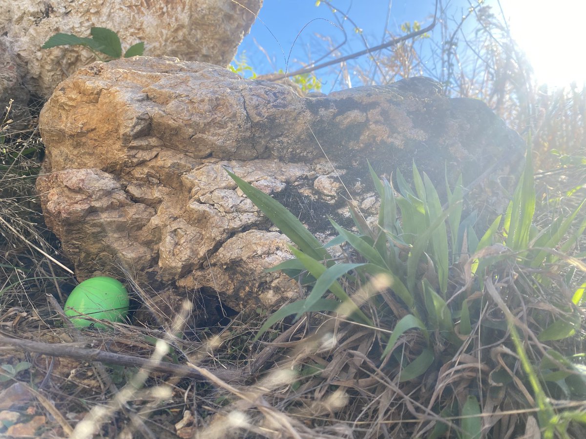 Return To The Land tweet media