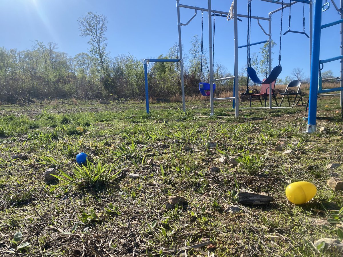 Return To The Land tweet media