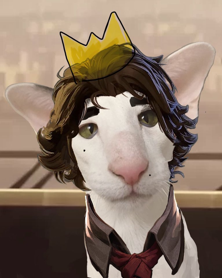 Jayce Talis tweet media