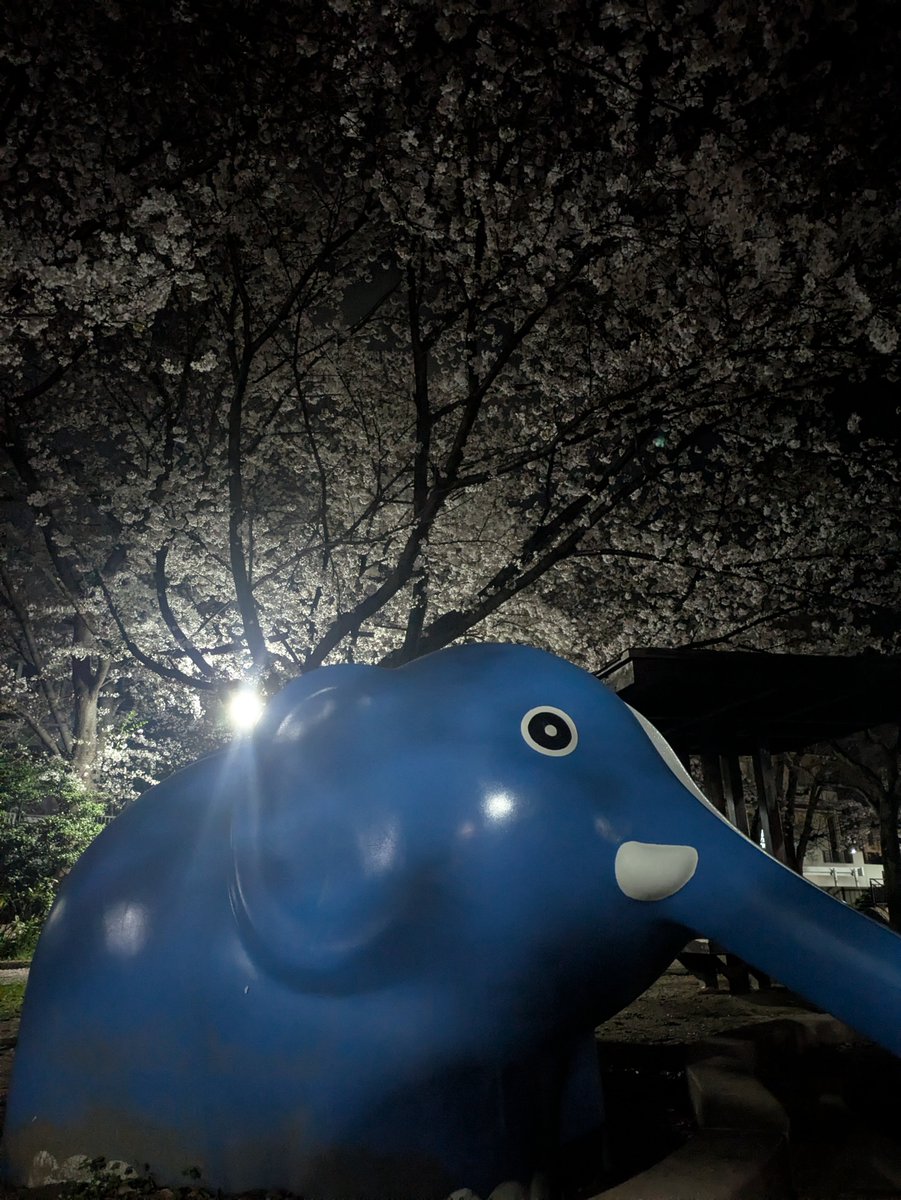 move&amp;earn
◯stepn日記4y47day
 
🏃🏻‍♂️:43m36s,420.29gst(+112
jpy)
●4y47daytotal:+12588.26gst+14965.2gmt+4.84sol(+87,987jpy)
4y47day💰:-634,613jpy

少し遠くまでお花見

#stepn
#stepngo