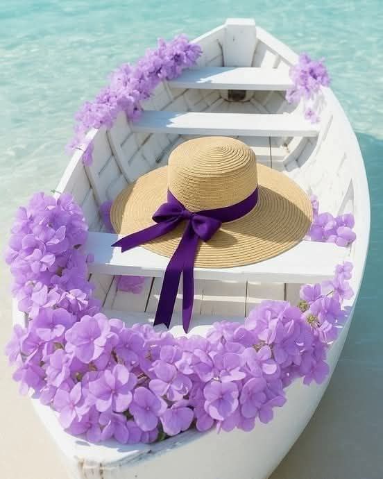 𒆜بَنت الُِاڪابَرٍ𒆜 tweet media