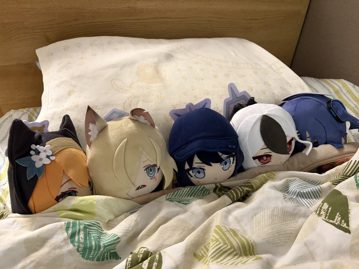 ユタノフスキー tweet media