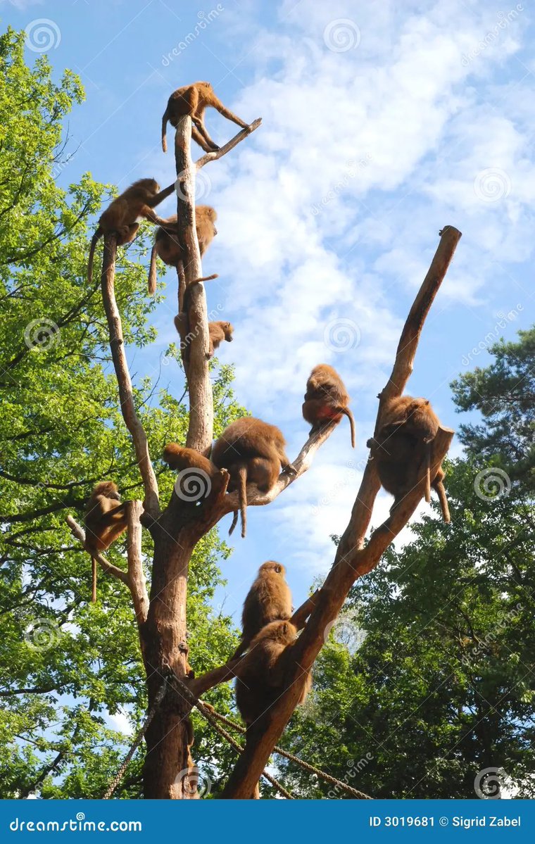 Diego🇵🇾🇮🇹 tweet media