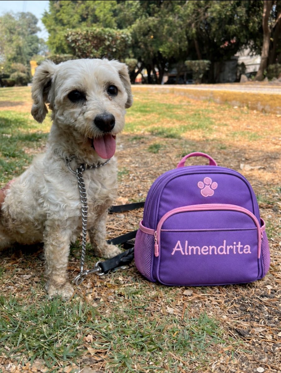 𝙷𝚎𝚕𝚊 𝙼𝚘𝚛𝚎 🐶 tweet media