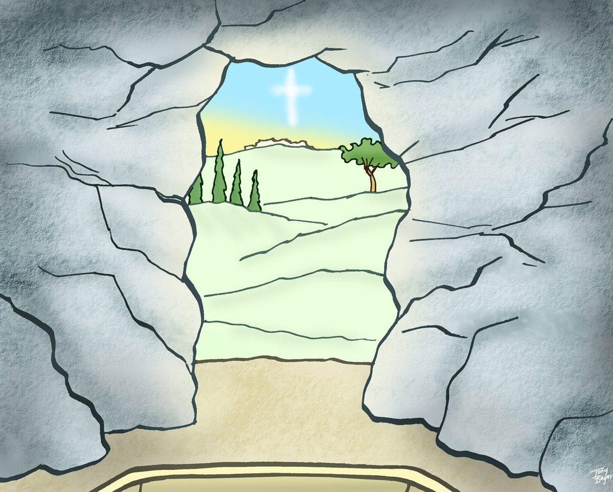 Tony Bayer tweet media