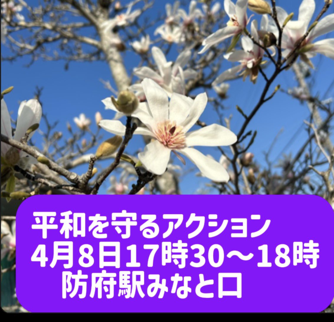 原田典子 tweet media