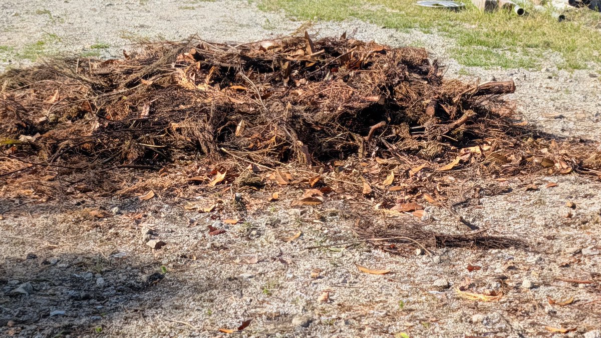 つよぽん　AI加工女子キャンパー（犬連れ） tweet media