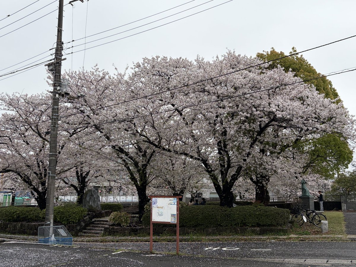 安藤勝也 ✴︎ライトワン株式会社✴︎ tweet media