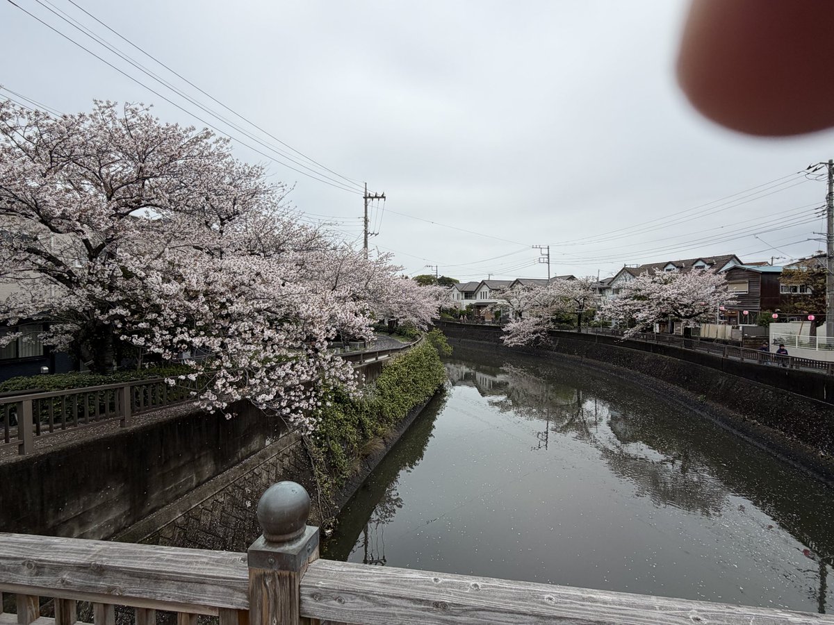 安藤勝也 ✴︎ライトワン株式会社✴︎ tweet media