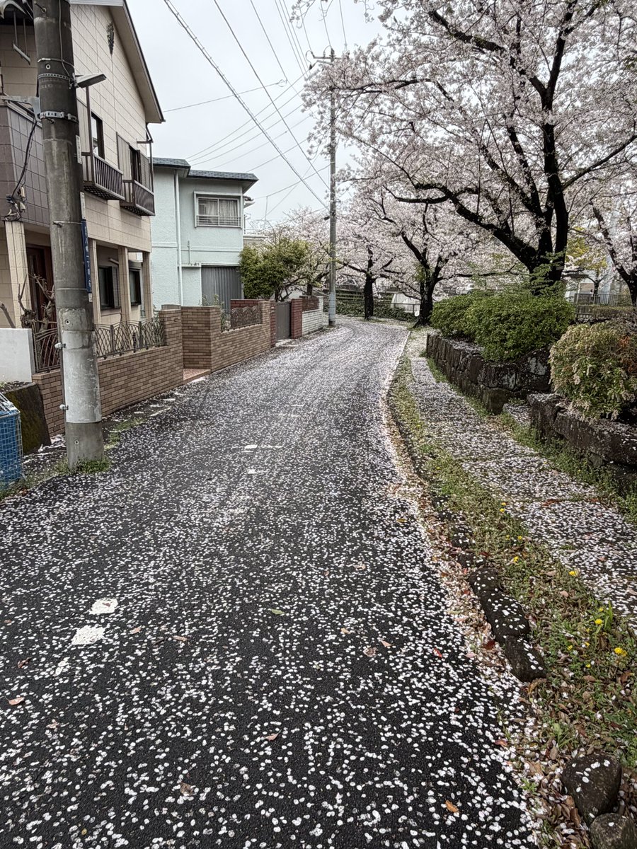 安藤勝也 ✴︎ライトワン株式会社✴︎ tweet media