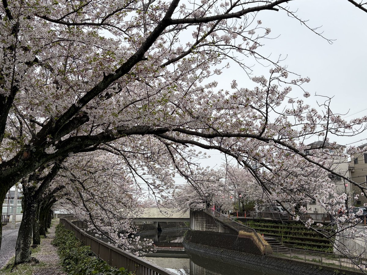 安藤勝也 ✴︎ライトワン株式会社✴︎ tweet media