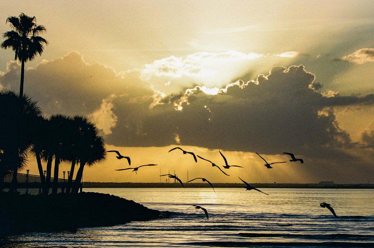 David Diebold 🚀 tweet media