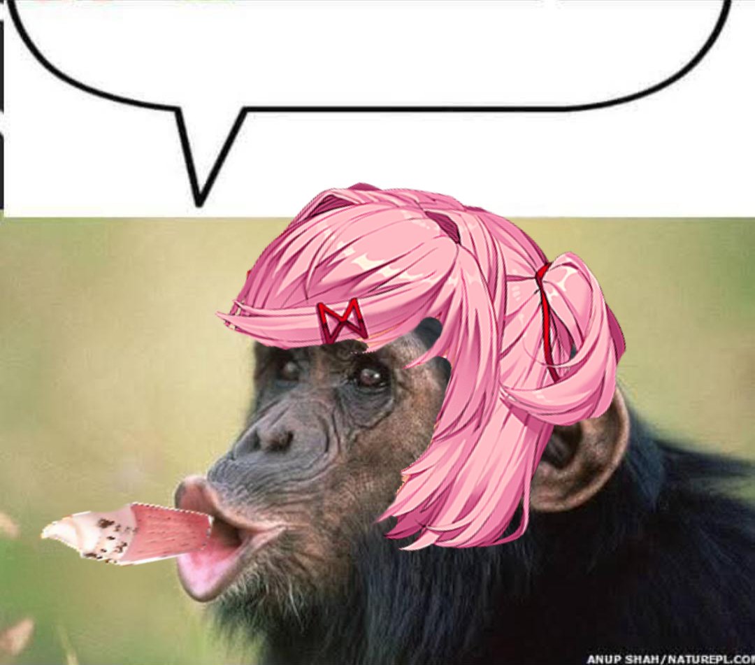 Repetidora tweet media