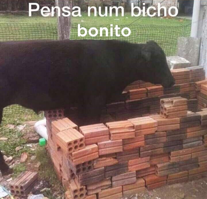 vitoria ⚢︎ | #ASRPG tweet media