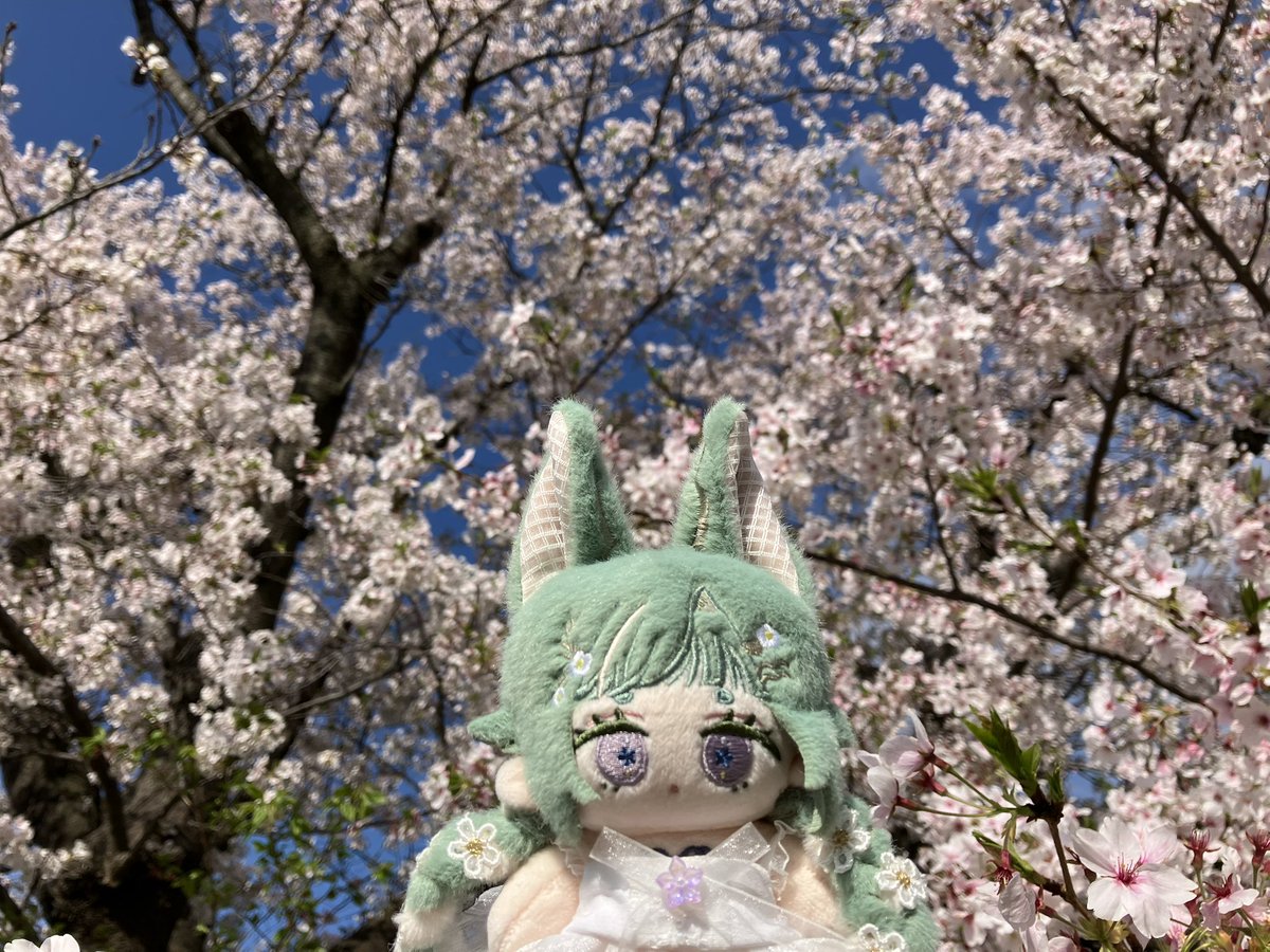 いつき tweet media